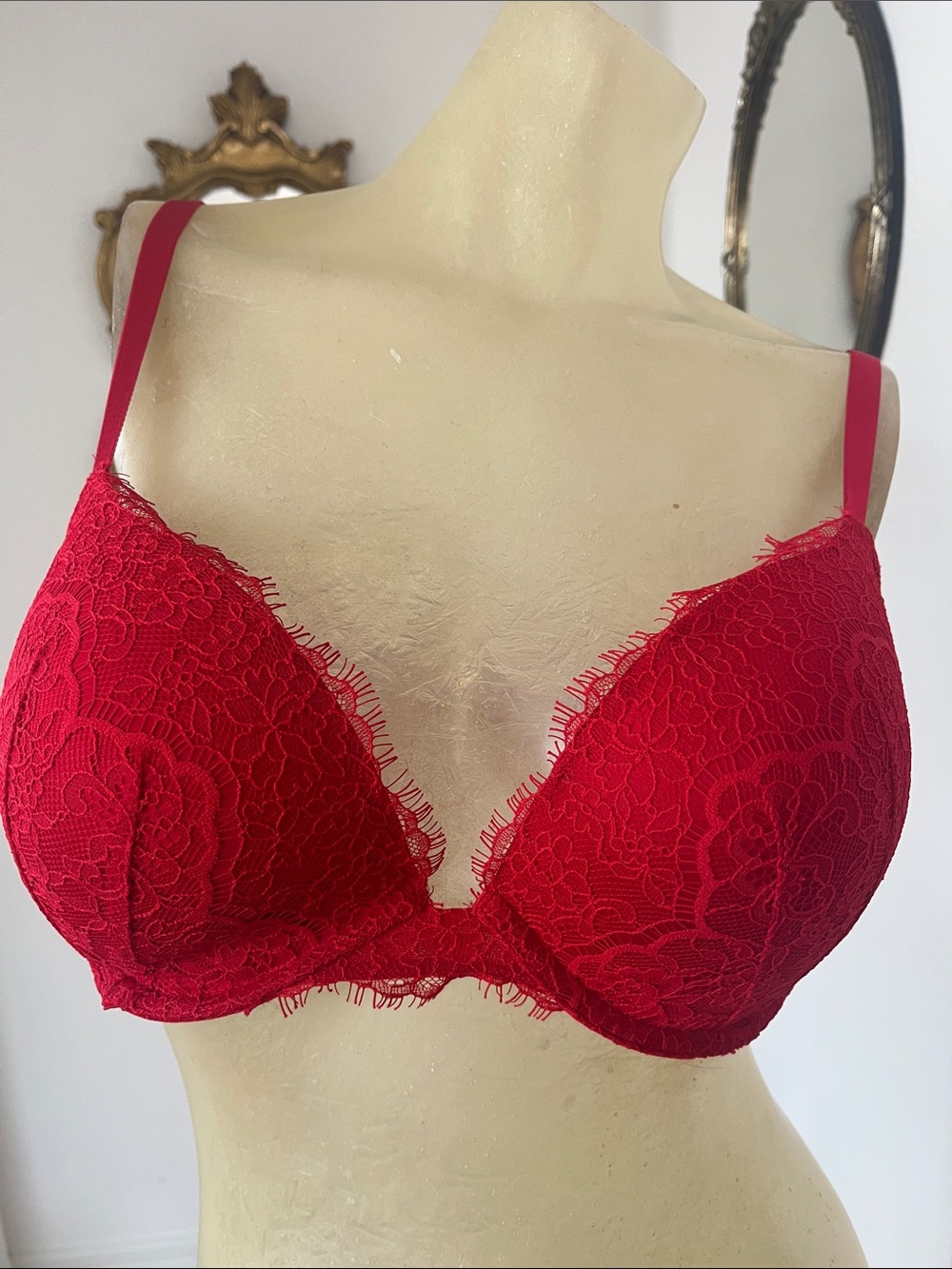 Victoria's Secret Dream Angels Red Lace Plunge Push-Up Bra